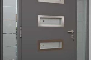 Vaulx en velin porte blindee